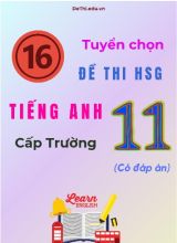 Tuyển chọn 16 đề thi HSG Tiếng Anh Lớp 11 cấp Trường (Có đáp án)